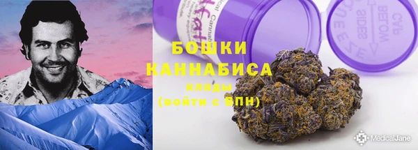 ГАЛЛЮЦИНОГЕННЫЕ ГРИБЫ Богородск