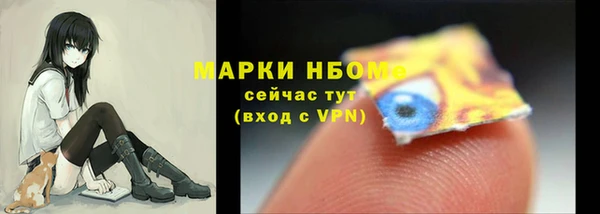 гашик Богородицк
