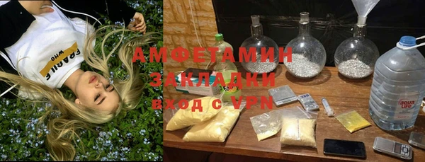 ГАЛЛЮЦИНОГЕННЫЕ ГРИБЫ Богородск