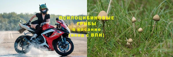 ГАЛЛЮЦИНОГЕННЫЕ ГРИБЫ Богородск
