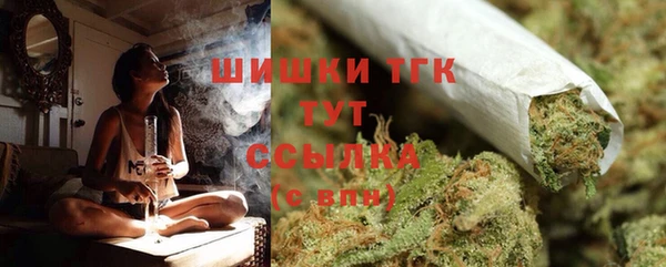 гашик Богородицк