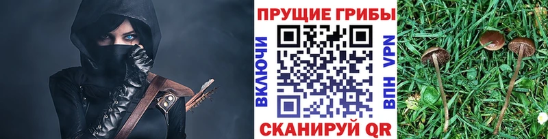 Псилоцибиновые грибы Psilocybe  Купить где  Азов 
